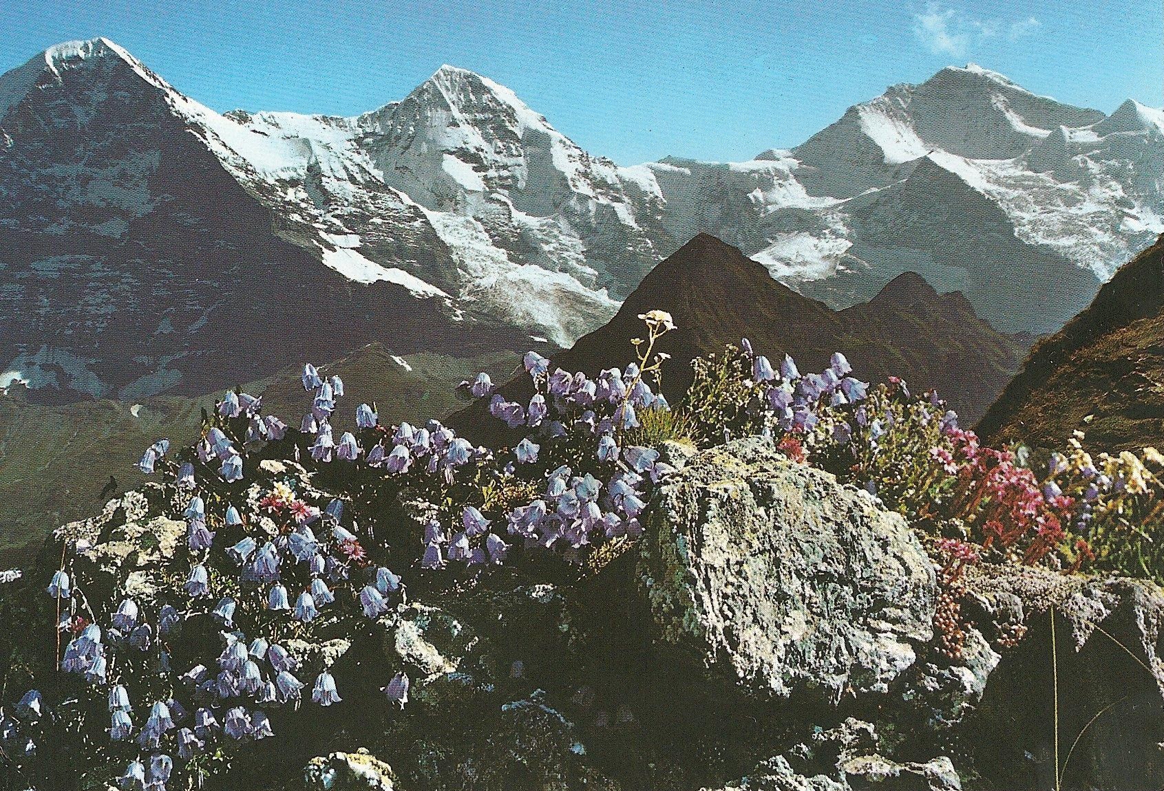 ɴΥץβ֤Υ</p>
<p>